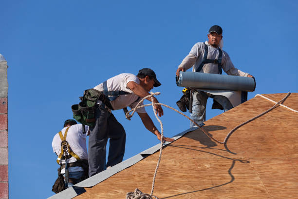Best Roof Replacement Cost  in Barnesville, MN