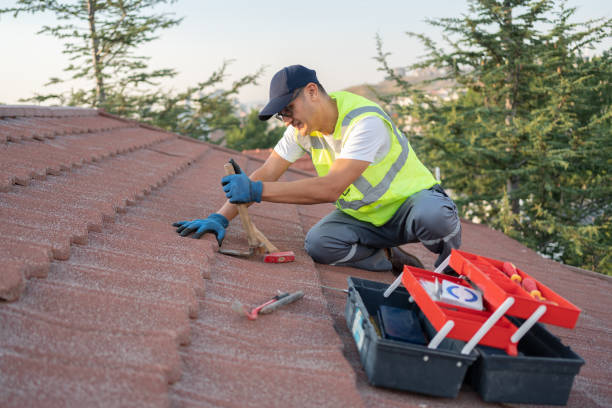 Best Roof Repair Specialists  in Barnesville, MN