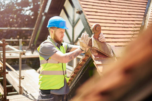 Best Residential Roofing Contractor  in Barnesville, MN